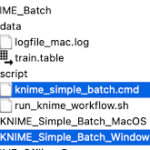 Optimize Your Workflow with Batch File Conversion Tools